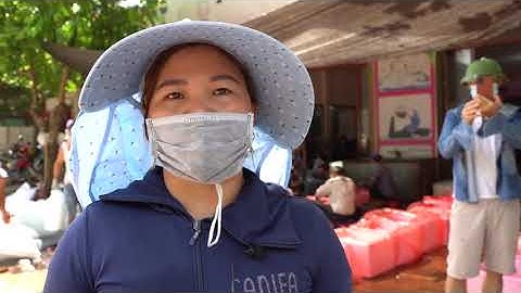 Bắc Giang  Nông dân Lục Ngạn nhộn nhịp đi bán vải thiều sớm   Dân Trí TV