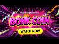 🐕 BONK Coin Market Review | Tracking the Latest Momentum I