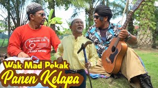 WAK MAD PEKAK PANEN KELAPA #lucu #medanviral #komedi