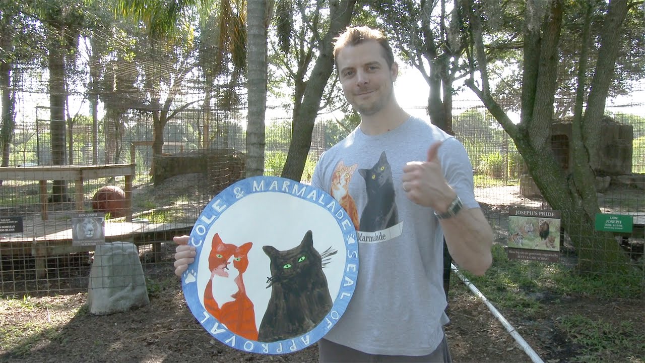 FAQ Friday Cole And Marmalade's Owner?! YouTube