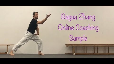 Bagua Zhang Hou Tian 1.2 // Peng Zhang