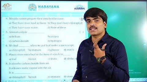 12TH AUG PAN INDIA CLASS IV SCIENCE ASSIGNMENT KEY