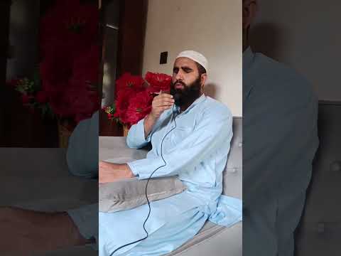  3 مور خور پلار