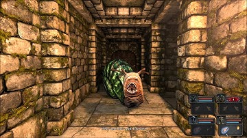 Entirely Unnecessary Achievement: Legend of Grimrock "Dungeon Runner" in 3:18:53