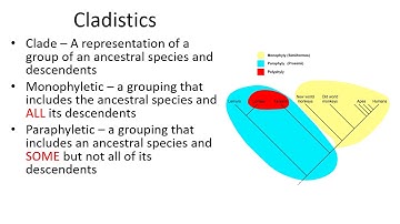 Phylogenies