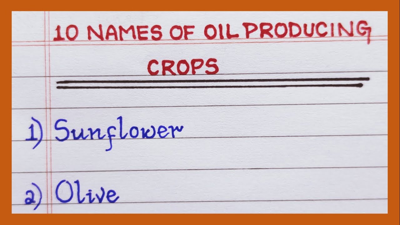 Names of Oil Producing Crops in English 5 Names 10 Names of Oil