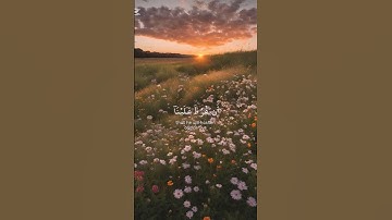 القران الكريم 💞 #اكسبلور #المصحف #لايك #الرحمن