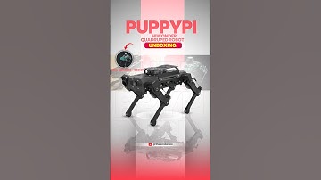 Best AI Robot Dog 2025 – Meet PuppyPi with Smart Vision || ThinkRobotics