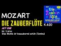 Miniature de la vidéo de la chanson Die Zauberflöte, K. 620: Dies Bildnis Ist Bezaubernd Schön