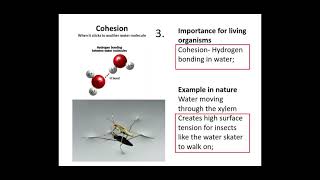 Celebrity 2.1.2. Biological Molecules a) Hydrogen bonding in water and its properties Profile