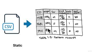 5.  Types of Data