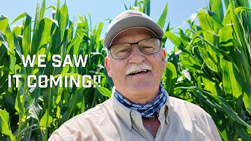 How SkyScout Helped Catch Southern Rust Before It Spread | Virtual Agronomist