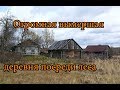 ОГРОМНАЯ ВЫМЕРШАЯ ДЕРЕВНЯ В ЛЕСУ. ЧАСТЬ 4