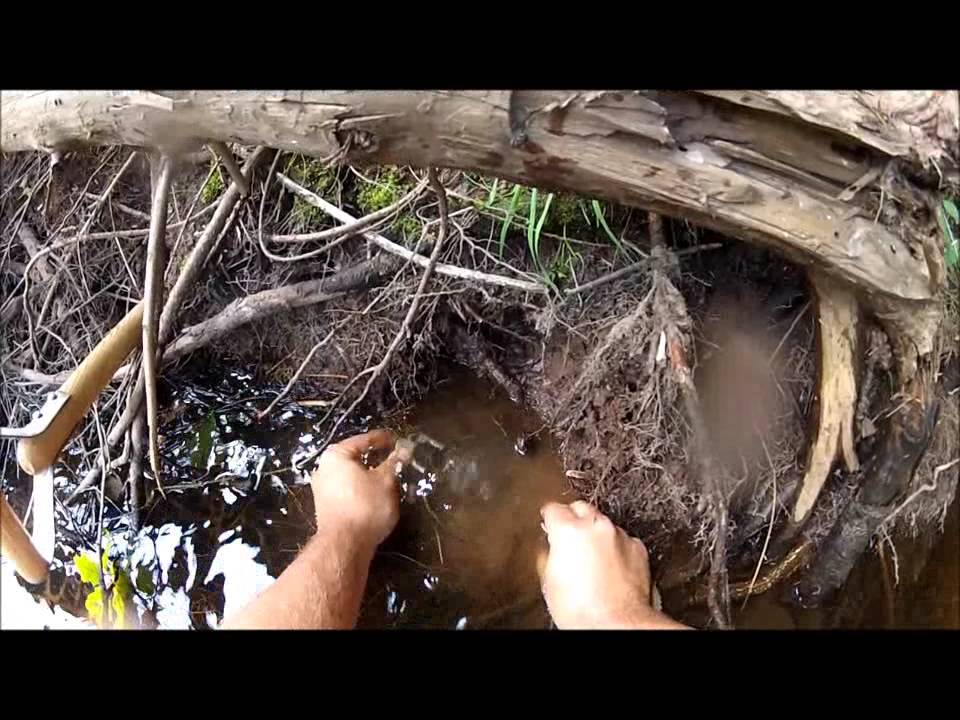 Best 2 Pocket sets for Mink ever 2014 especially if you are a beginner