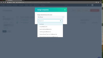 How to assign companies to your LC / Team