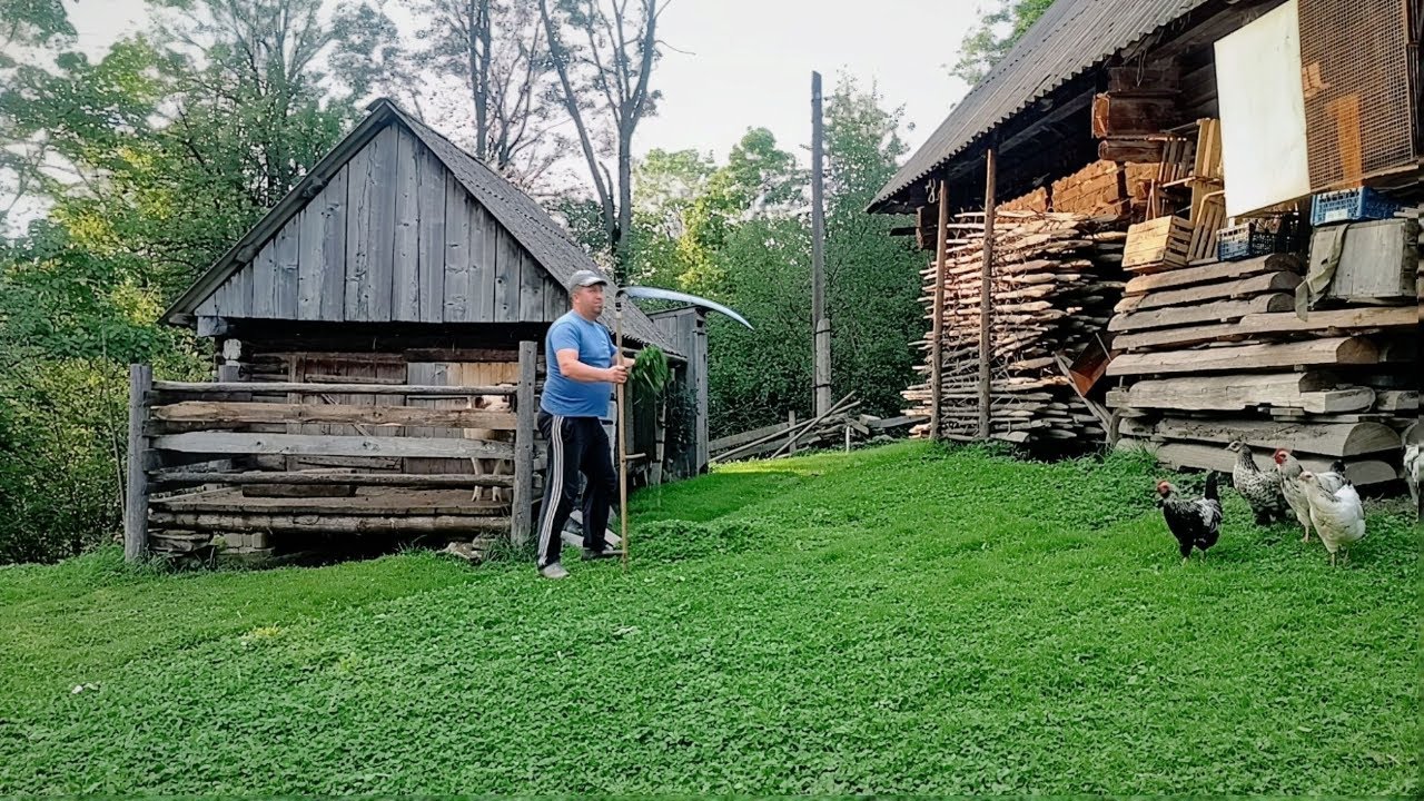 One day in a Carpathian village 🏡⛰️ Work from morning to evening.