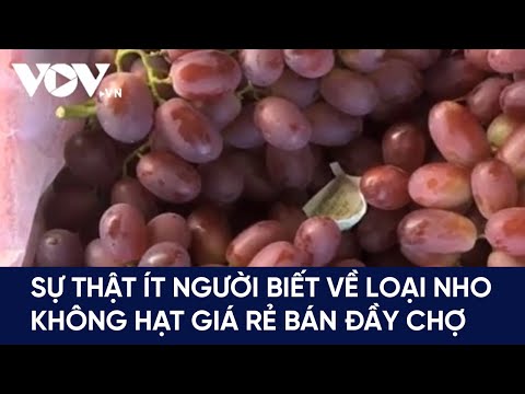 Video Sự thật ít người biết về loại nho không hạt giá rẻ bán... - youtube
