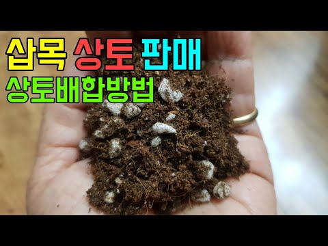 상토 배합 방법과 상토(삽목용)판매 - 생명나무농장 - YouTube
