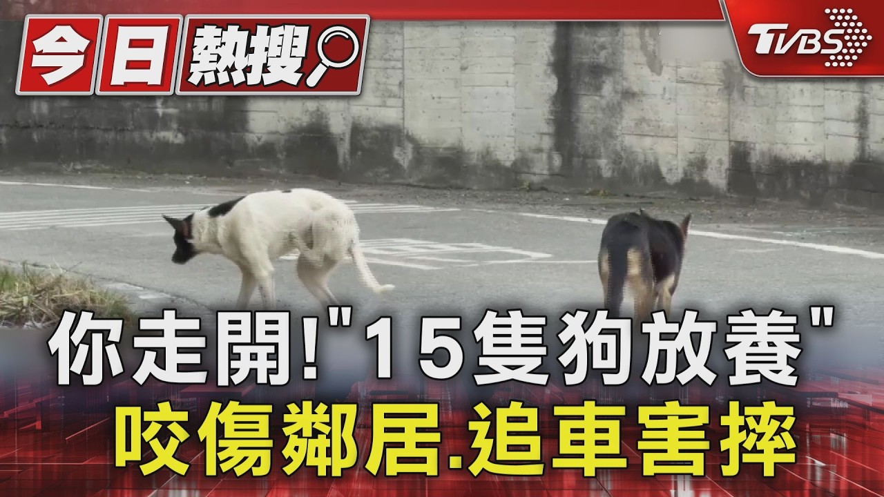 你走開! 「15隻狗放養」 咬傷鄰居.追車害摔｜TVBS新聞 @TVBSNEWS01