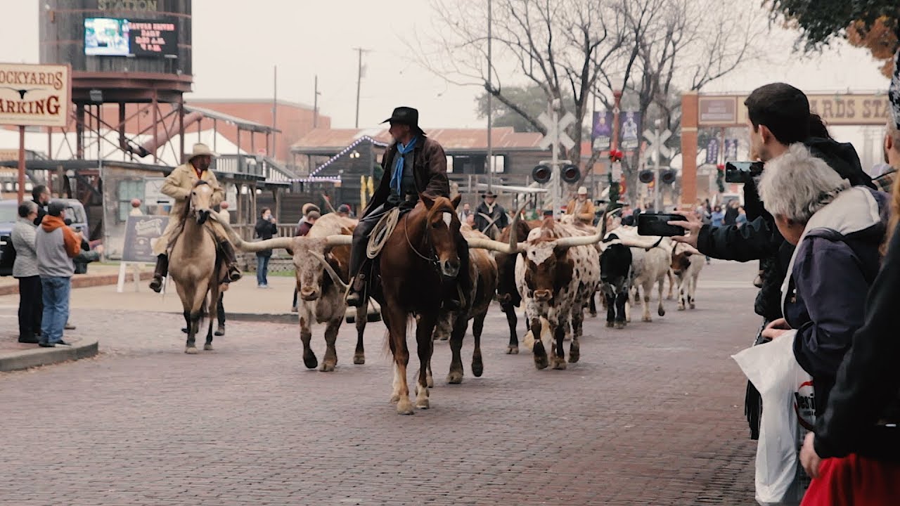 Texas Towns  The Fort Worth Stockyards 