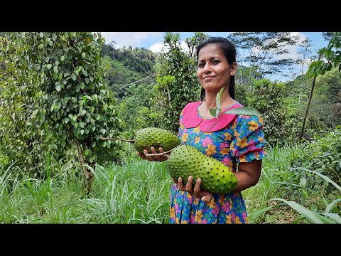 Soursop fruit recipe | Healthy Soursop juice | Salad recipe by Life in Village (English Subtitles)