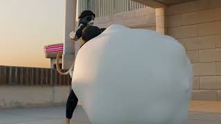 Meowskulls Vore Animation No Sound