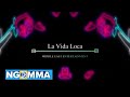 Middle east entertainment la vida locaofficial visualizer