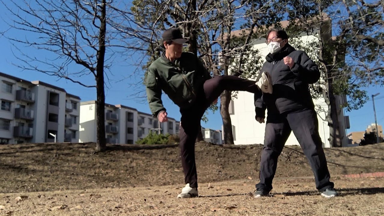 Triangle Kick Exercise 空手・拳法の稽古 221 ― 続・三角横蹴り・応用 Karate & Kungfu step by step training ...