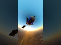 GoPro: Slingshot while Wingsuiting 🎬 Kasey English #Shorts