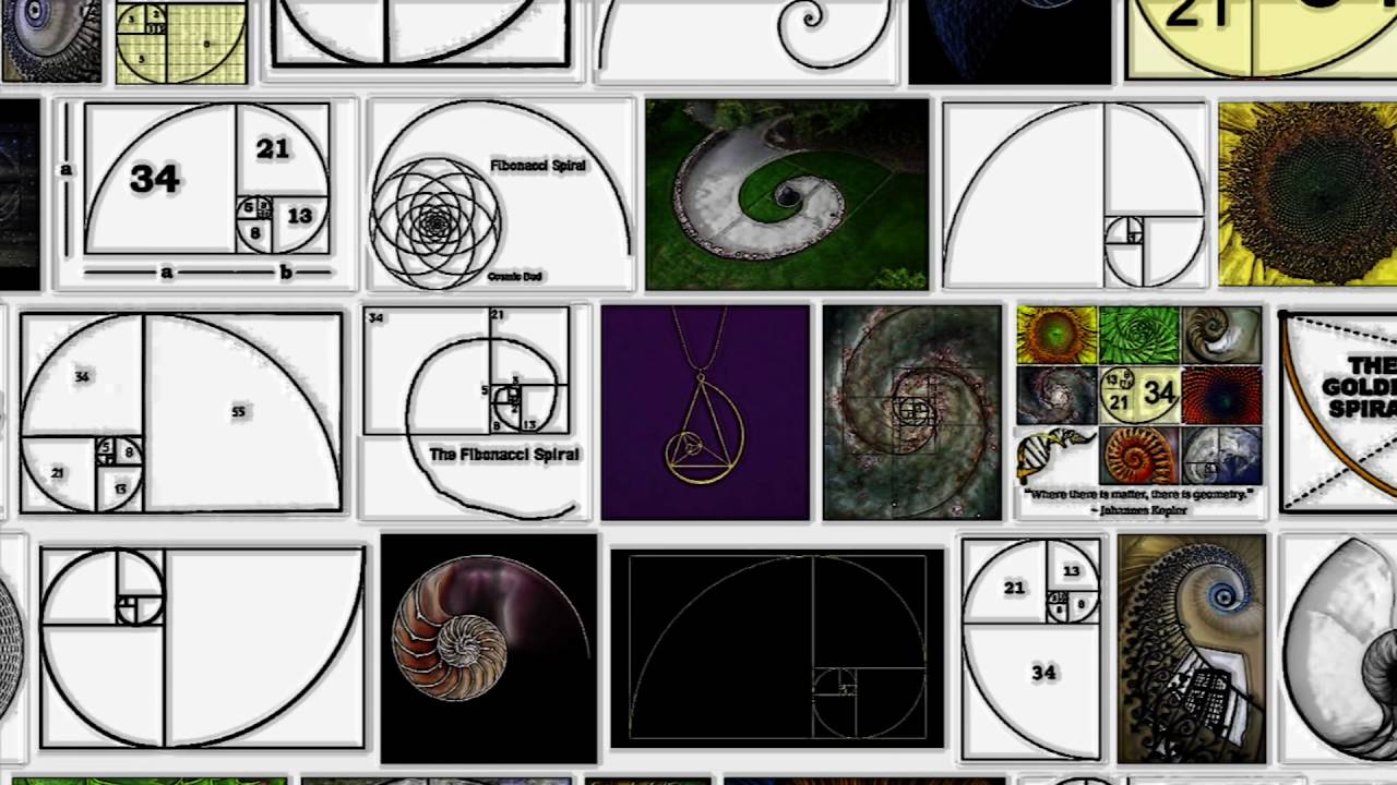 Fibonacci Spiral 2016 - from What Would Picasso Say?