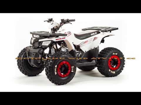 Motoland Wild ATV 125 cc