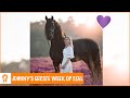 De eerste week met Johnny! | PaardenpraatTV