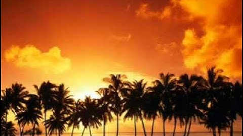 سورة يوسف - الشيخ يوسف ابكر تلاوه خاشعه