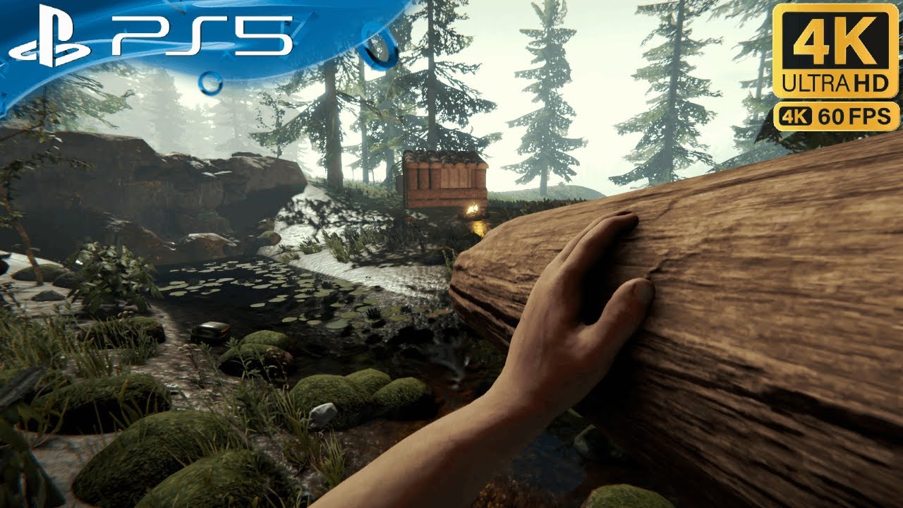 Crafting Safety: Building Your Dream Shelter in The Forest [PS5 Gameplay]