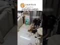 女性が驚いた理由