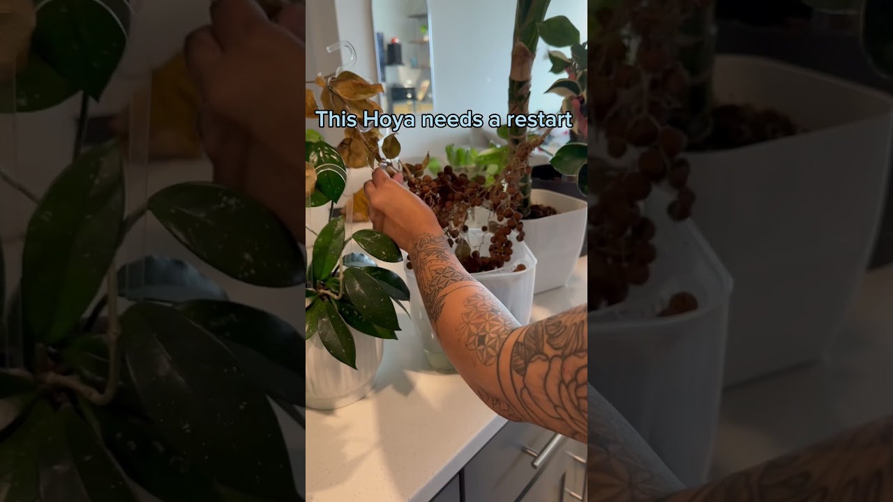 Gotta love watering day 😅 