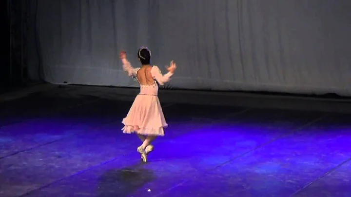 Variao SWAN LAKE- Paula Pacheco