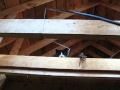 Cat Plays on Roof Rafters