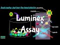 Luminex assay  multiplex imimmuno assay  luminex xmap technology  multiolex assay 
