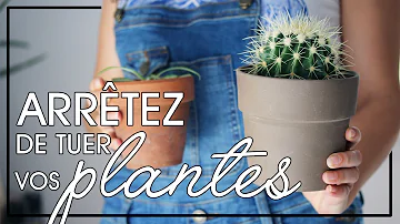 Quelles sont les différentes sortes de cactus ?