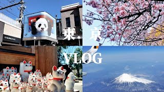 2024東京VLOG | 第一次東京自由行 / 上野3D熊貓 / 鎌倉江之島一日遊 / 東京哈利波特影城 / 銀座文具控行程 / 麻布台之丘東京鐵塔 / 豪德寺招財貓 / 海洋迪士尼最新現況