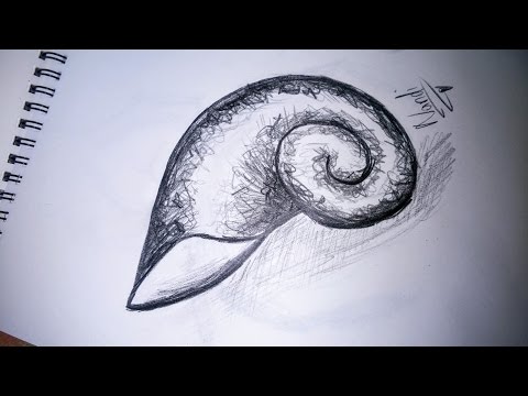 Comment dessiner une spirale Shell