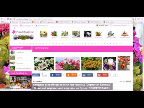 yvavilebismovla.ge საიტზე ნაჩვენებია სად  რა  არის  როგორ  ვაზიარებთ  სად  გადავდივართ