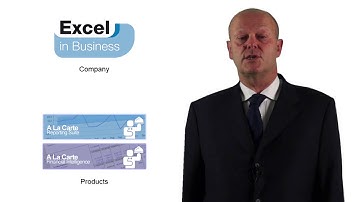 About Excel In Business - by Paul Martin