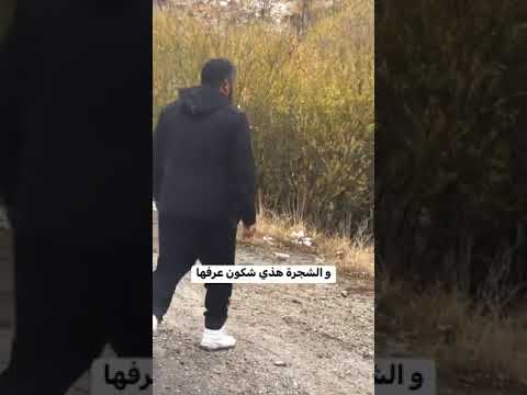 وهذه الشجرة من عرفها يا ترى شاركونا الجزائر الخضراء الوطن الأخضر