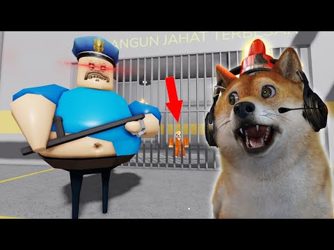 Video: Anjing anjing