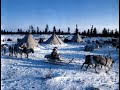 Вот как моются и ходят в туалет северные народы