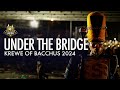Southern university human  under the bridge  bacchus 2024
