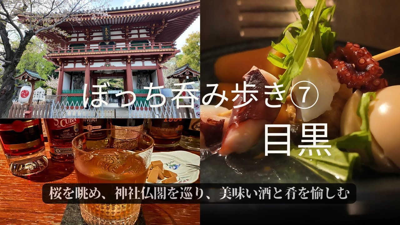 ぼっち吞み歩き➆目黒 ～たこやきと生ビール・天ぷらと日本酒・おでんと日本酒・パテとワイン・ラムとチーズ～