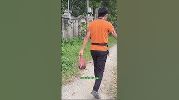 Khi nào bạn mới đi câu cá #shorts  #caucaedu #cauca #caucagiaitri